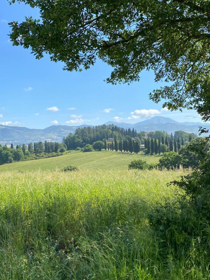 Agriturismo Germogli I Tenuta di Fassia Gubbio Esterno foto