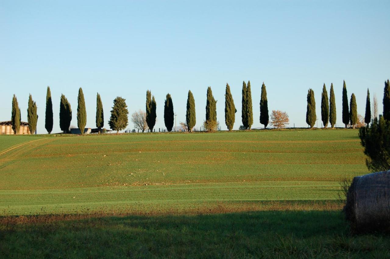 Agriturismo Germogli I Tenuta di Fassia Gubbio Esterno foto