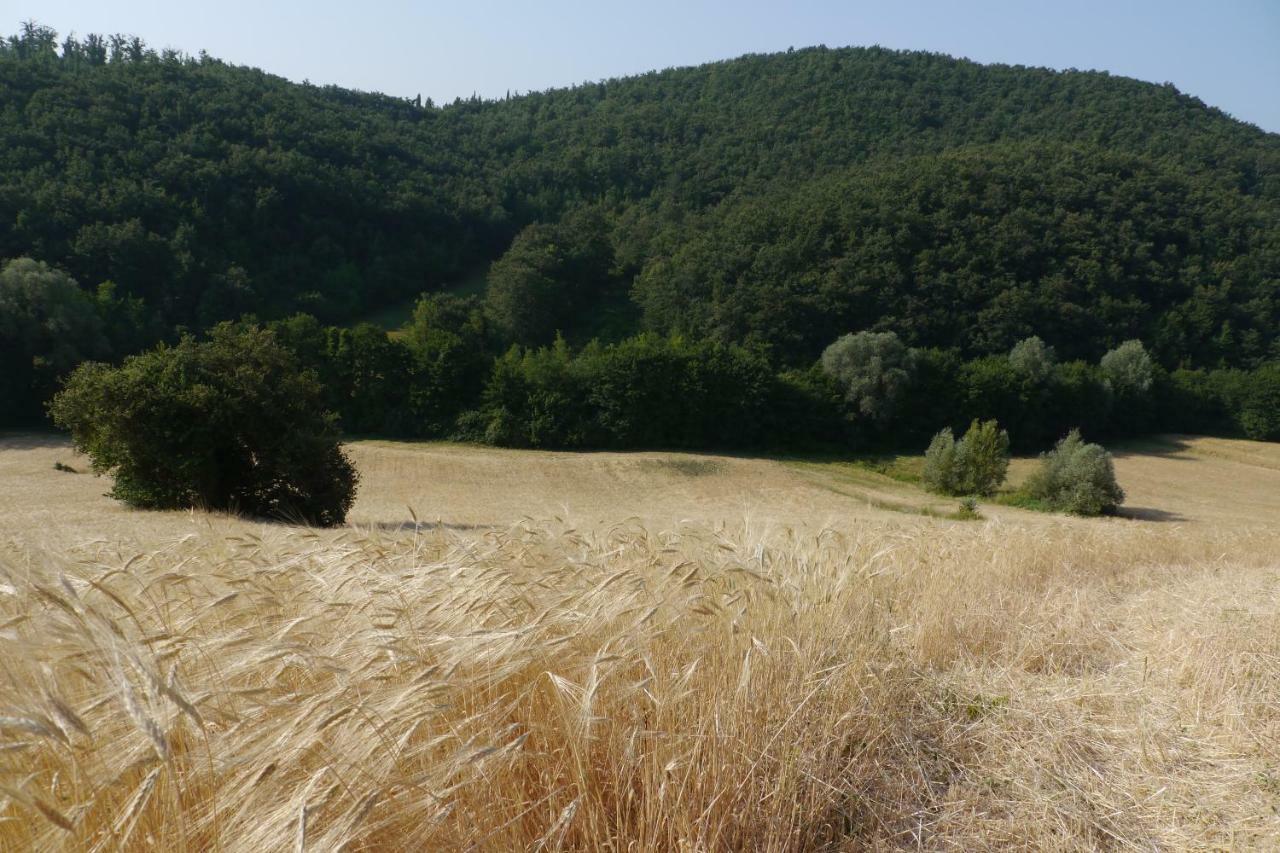 Agriturismo Germogli I Tenuta di Fassia Gubbio Esterno foto